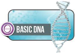 THETAHEALING BASIC DNA COURSE | 08-10 AUG, 2025