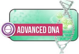 THETAHEALING ADVANCED DNA COURSE | 12-14 SEP, 2025