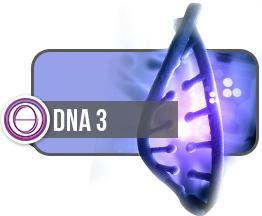 THETAHEALING DNA3 | 17-21 NOV, 2025